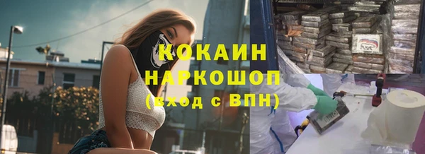 индика Алексин