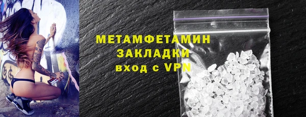 индика Алексин