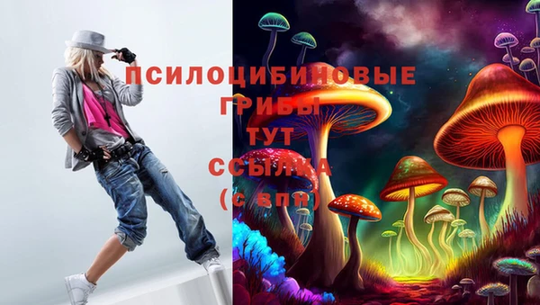 индика Алексин
