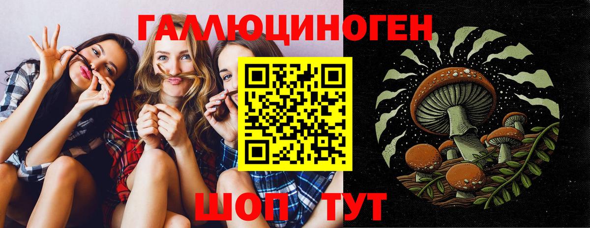 Псилоцибиновые грибы Psilocybe Богородицк