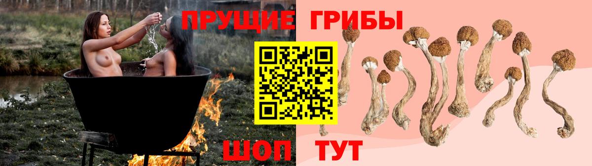 Галлюциногенные грибы Cubensis  Псилоцибиновые грибы мицелий  Вход с VPN  Богородицк 
